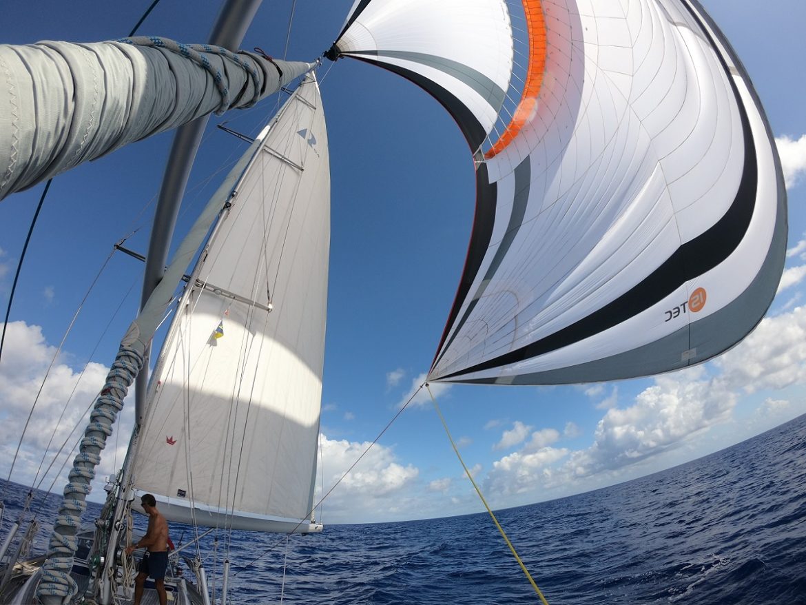 Here are the Tips to Do in Montego Bay Yacht Racing